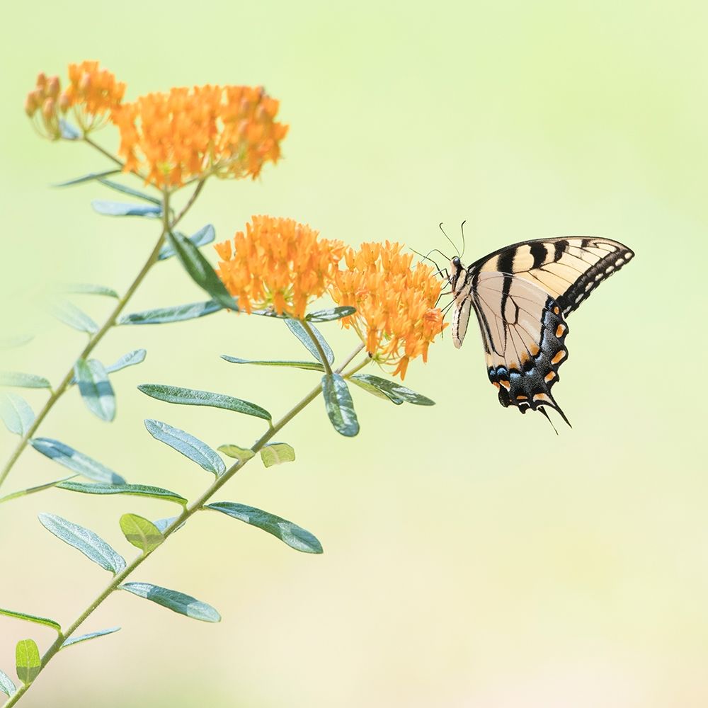 Similar wall art painting: 229430