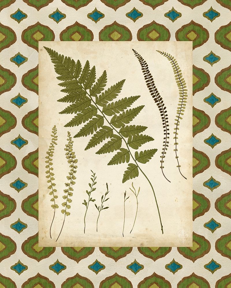 Art Print: Moroccan Ferns II