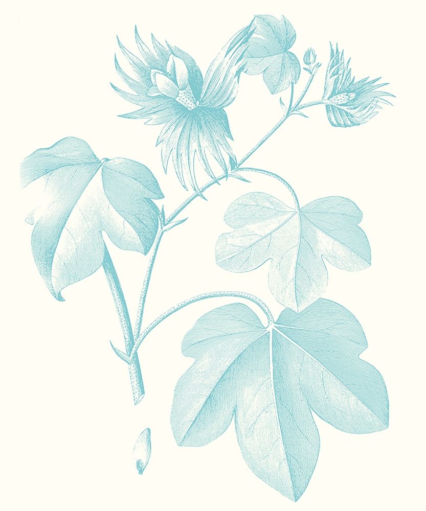 Art Print: Botanical Study in Spa IV