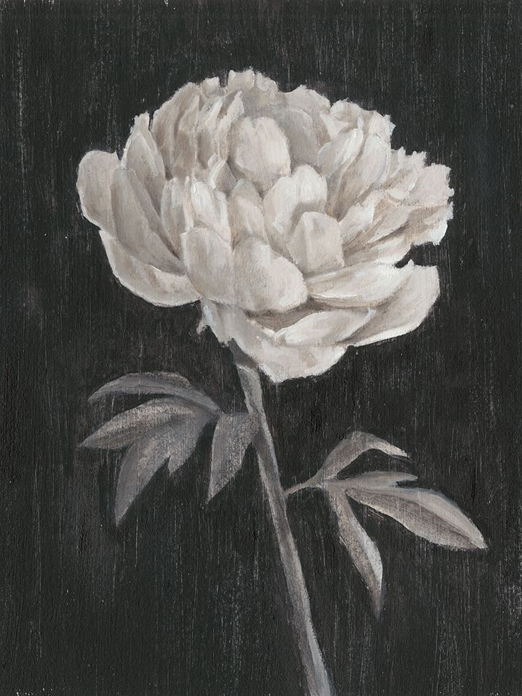 Wall Art Painting id:230077, Name: Black and White Flowers I, Artist: Harper, Ethan