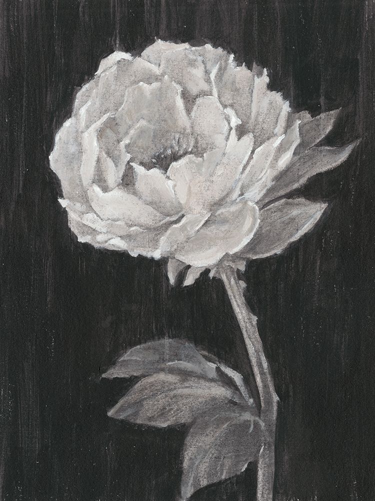 Wall Art Painting id:230078, Name: Black and White Flowers II, Artist: Harper, Ethan