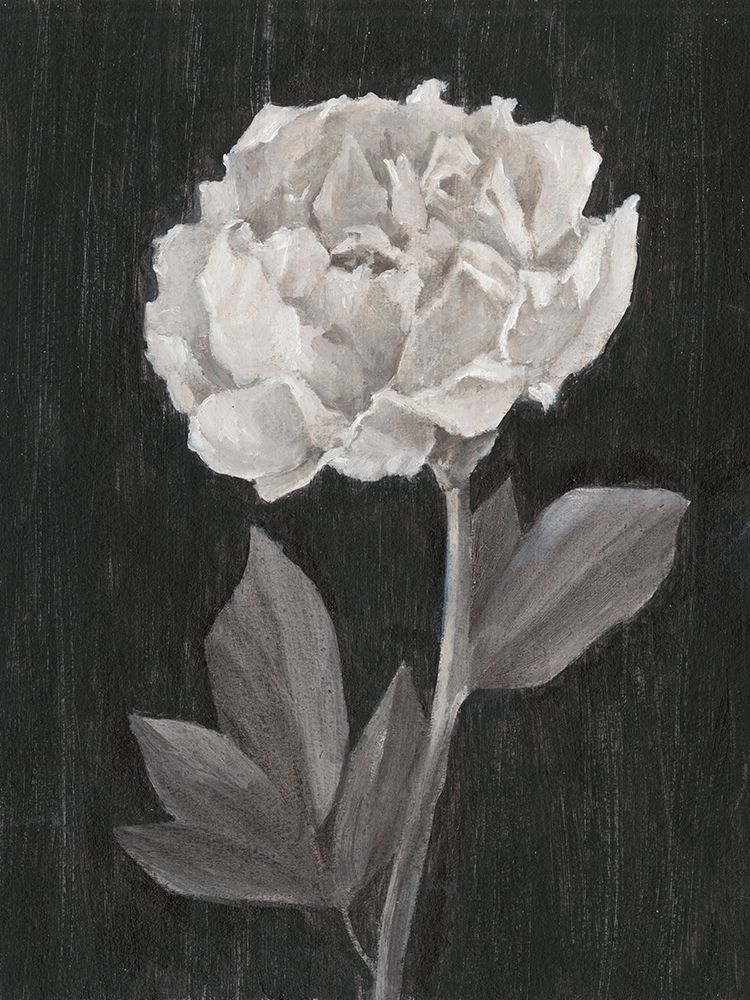 Wall Art Painting id:230080, Name: Black and White Flowers IV, Artist: Harper, Ethan