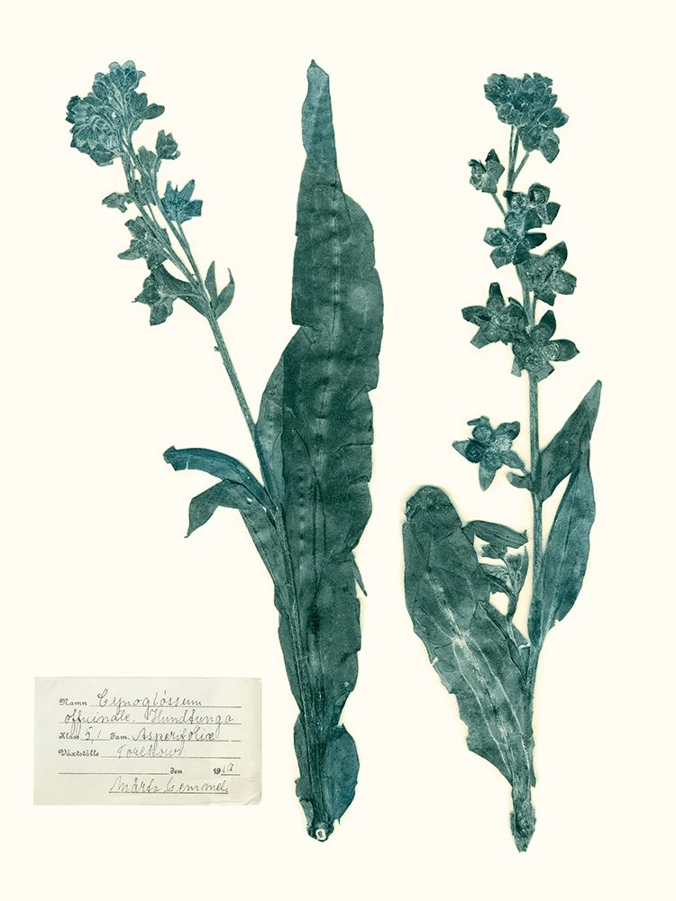 Similar wall art painting: 230110