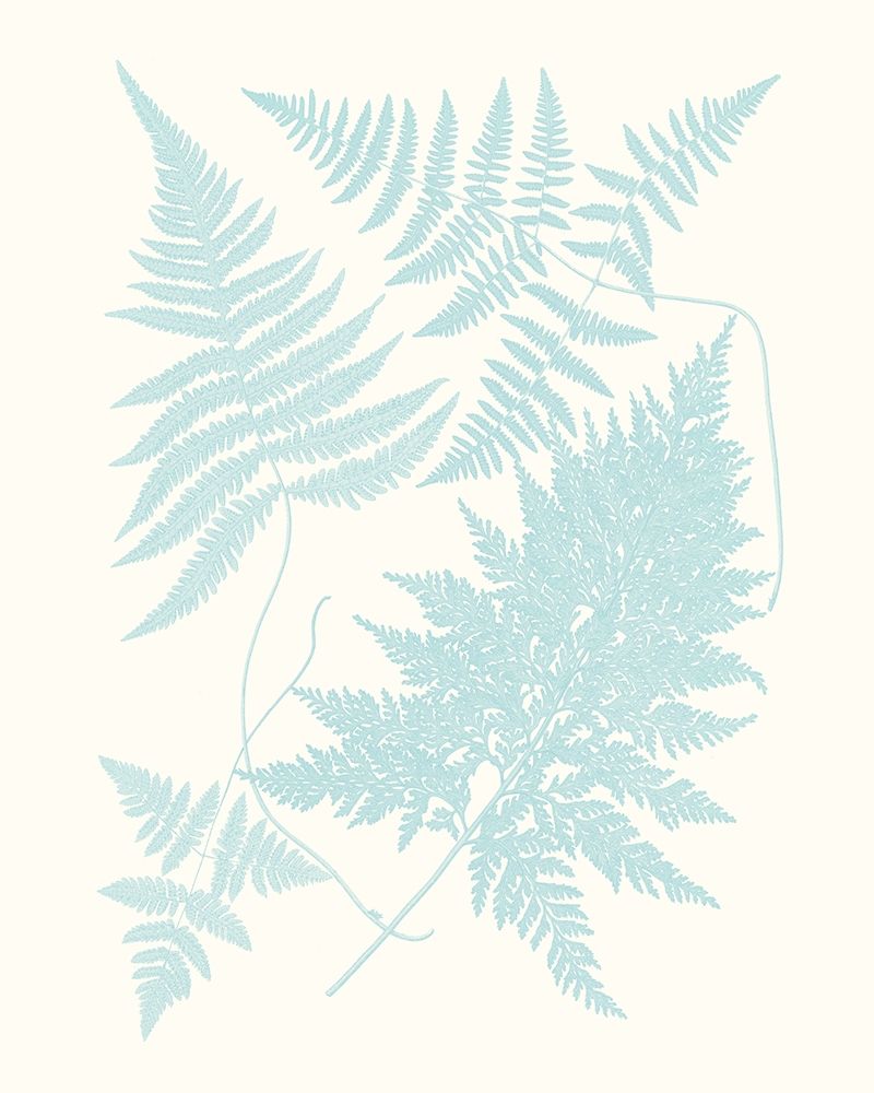 Art Print: Serene Ferns IV