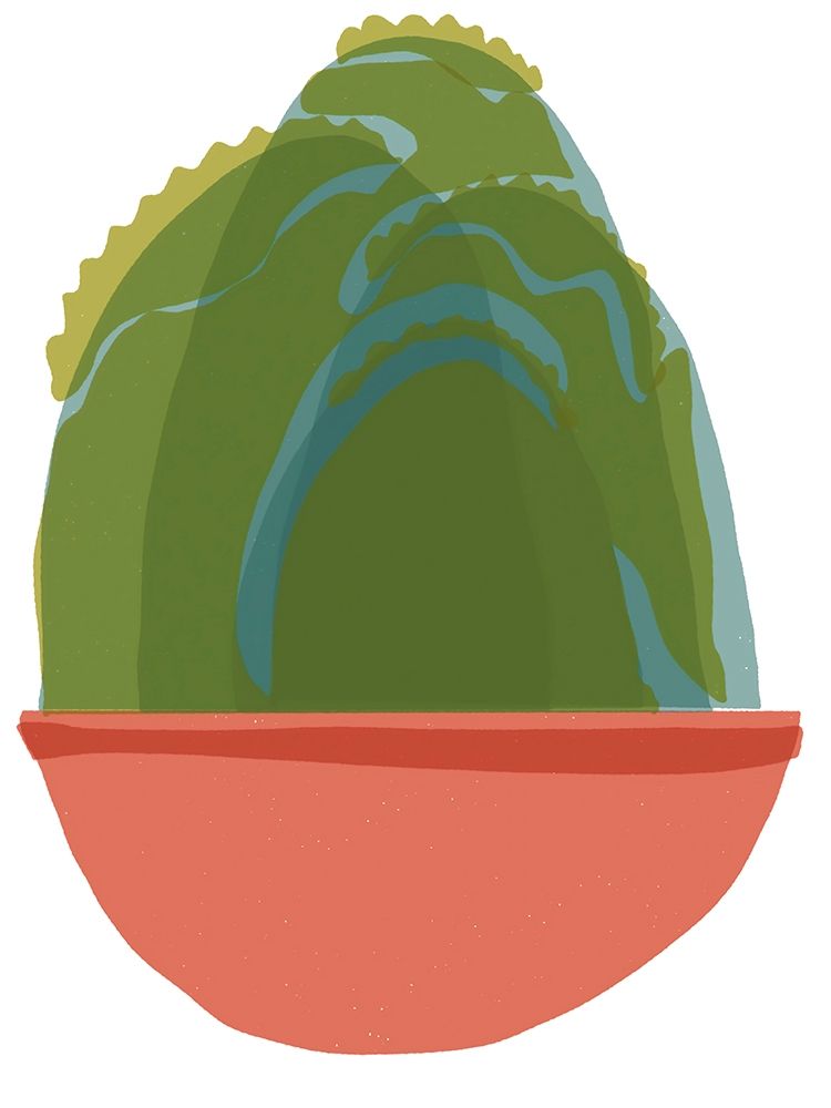 Art Print: Mod Cactus III