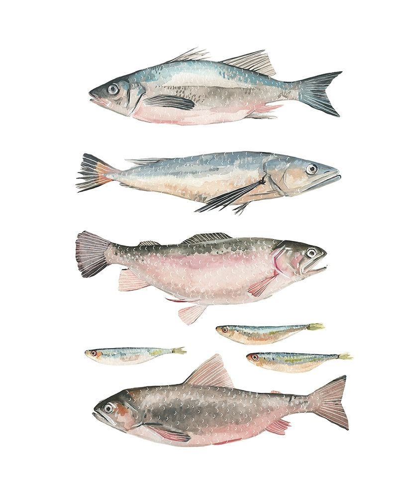 Wall Art Painting id:230466, Name: Fish Composition I, Artist: Scarvey, Emma