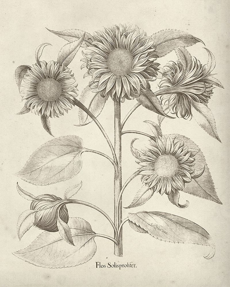 Similar wall art painting: 244826