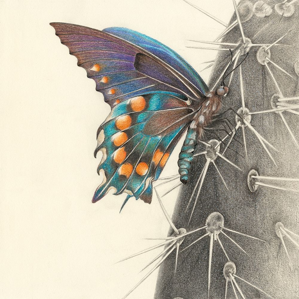 Wall Art Painting id:283080, Name: Majestic Butterfly I, Artist: Liama, Lily