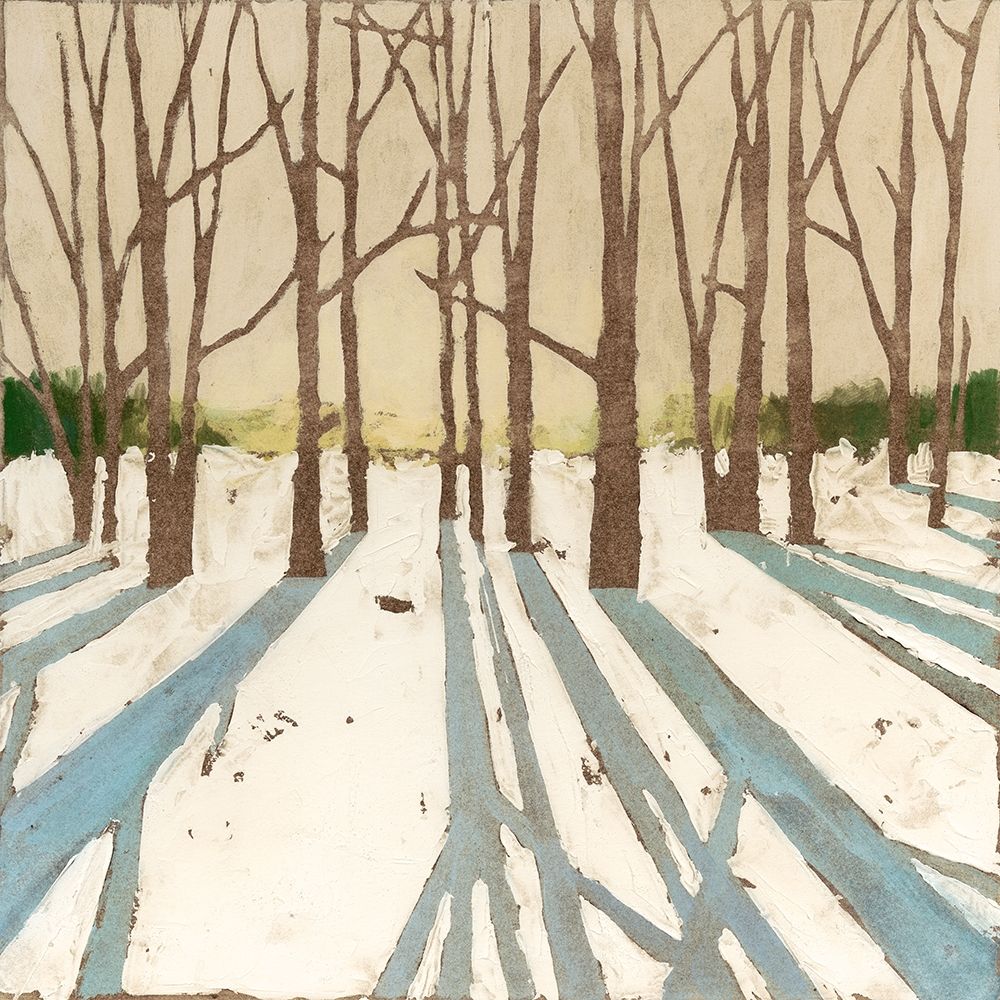 Wall Art Painting id:382772, Name: Custom Winter Shadows II, Artist: Meagher, Megan