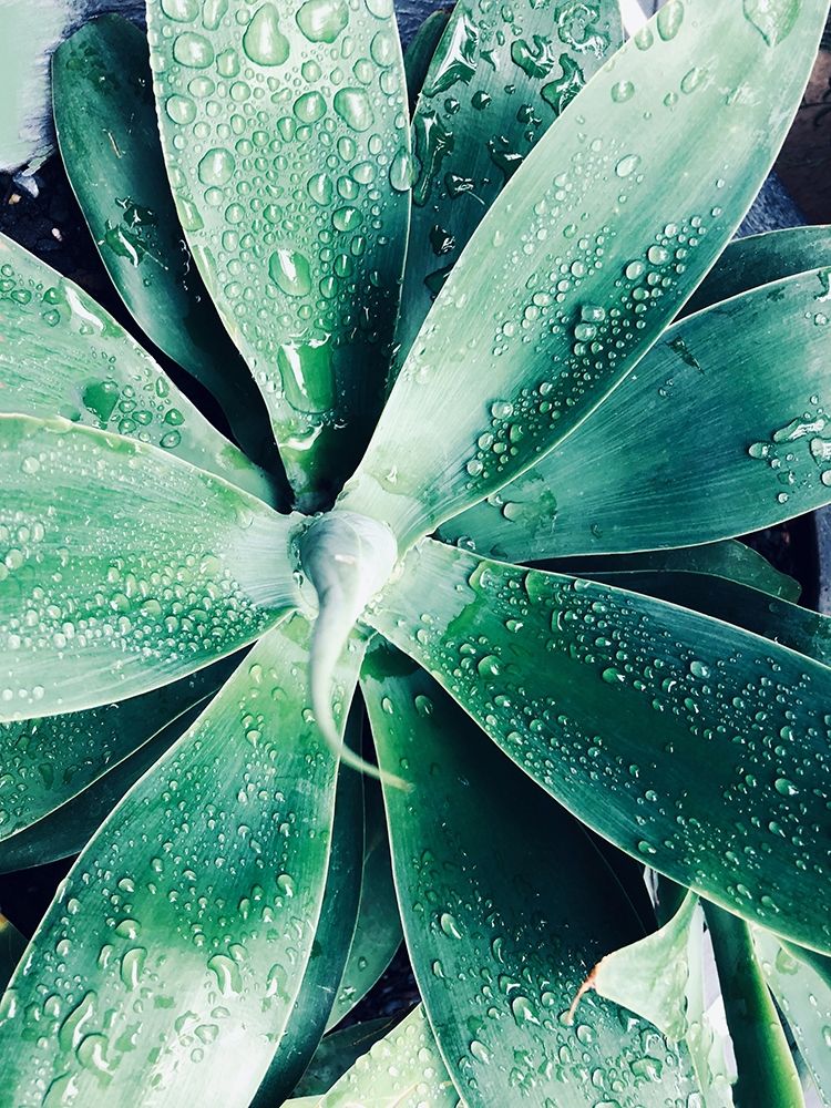 Similar wall art painting: 259343