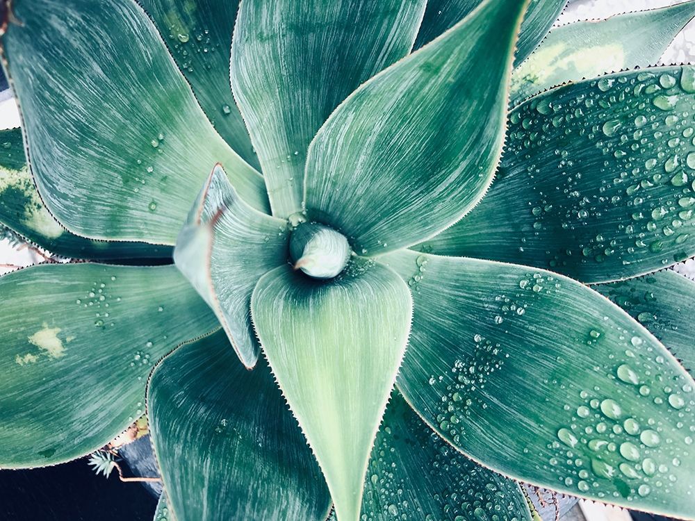 Similar wall art painting: 259348