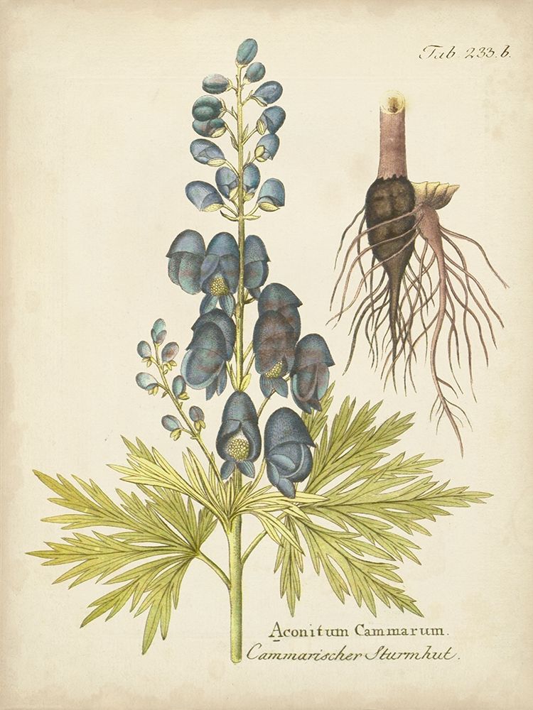 Similar wall art painting: 274534