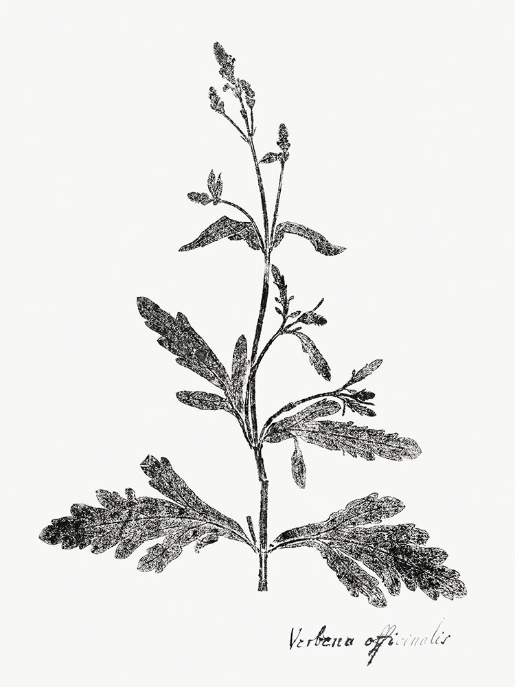 Similar wall art painting: 274538