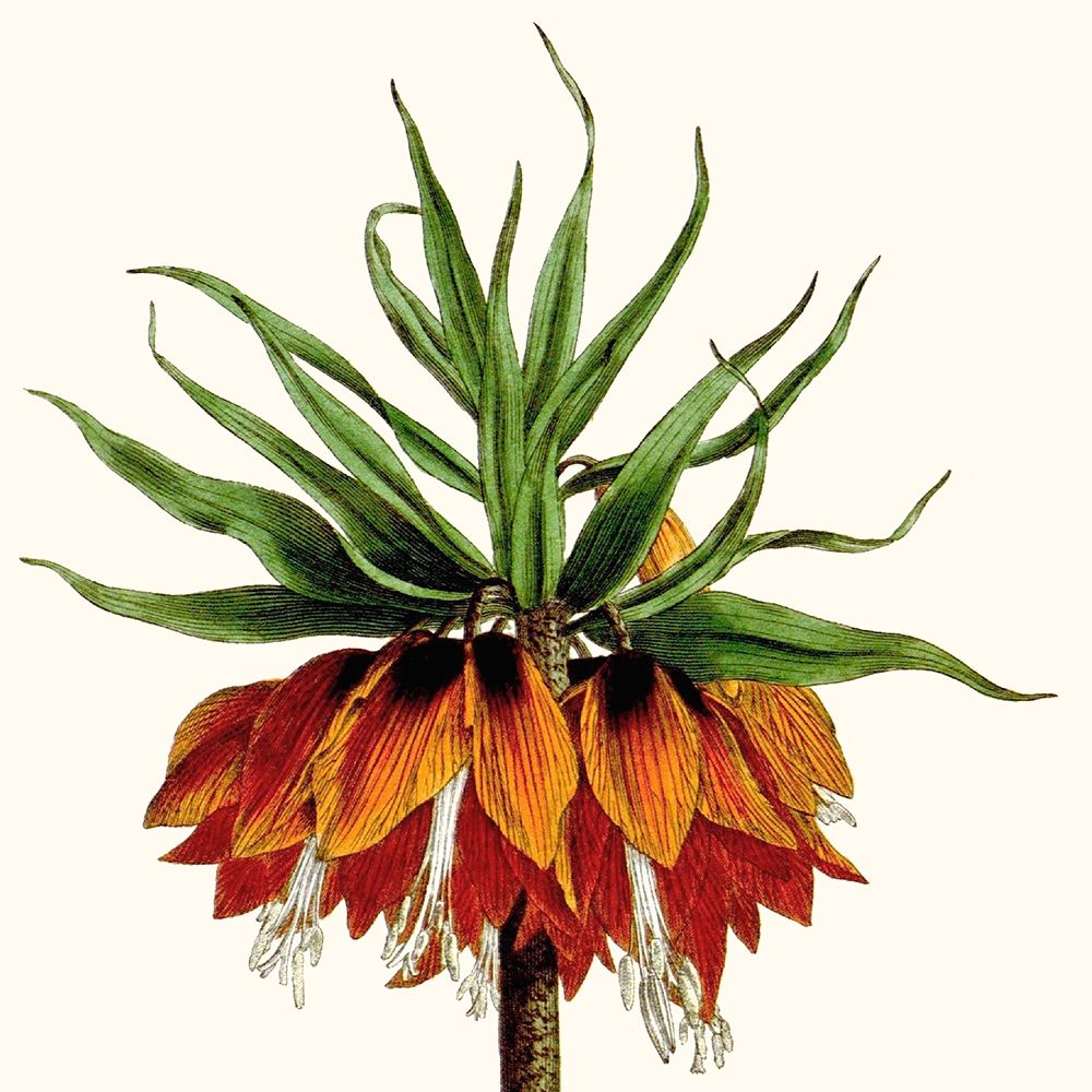 Similar wall art painting: 274555