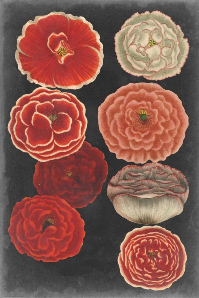 Similar wall art painting: 68323