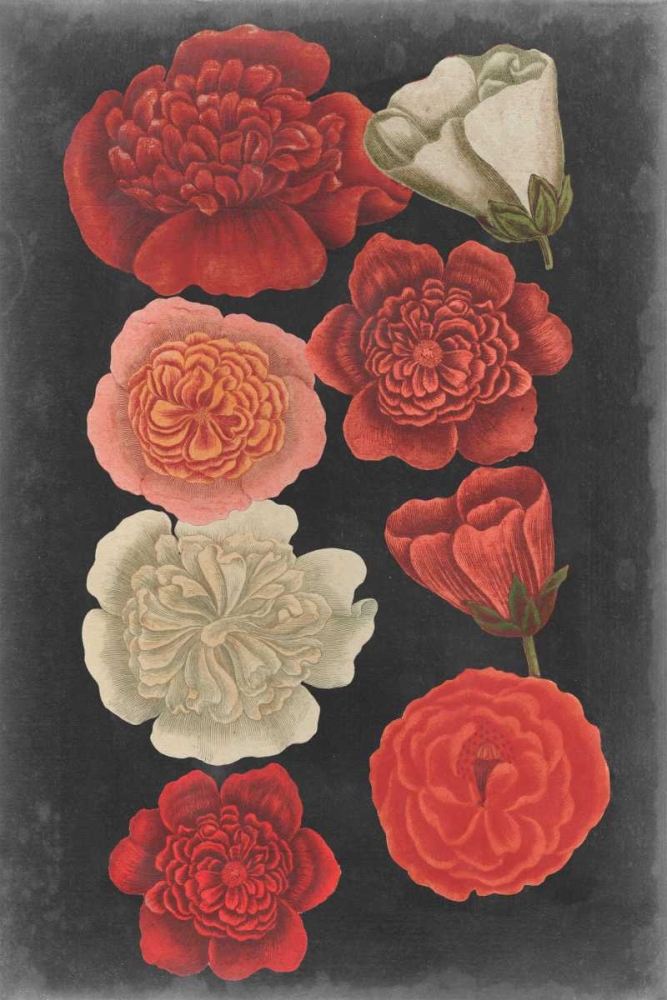Wall Art Painting id:68324, Name: Midnight Roses, Artist: Vision Studio