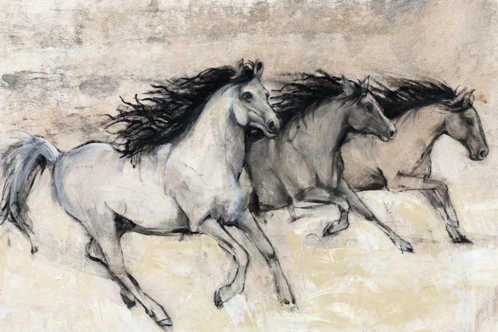 Wall Art Painting id:68348, Name: Horses in Motion II, Artist: OToole, Tim