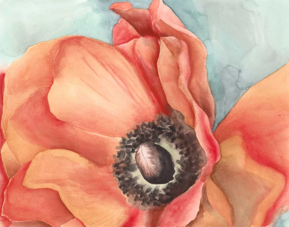 Wall Art Painting id:68449, Name: Watercolor Poppy I, Artist: Meagher, Megan
