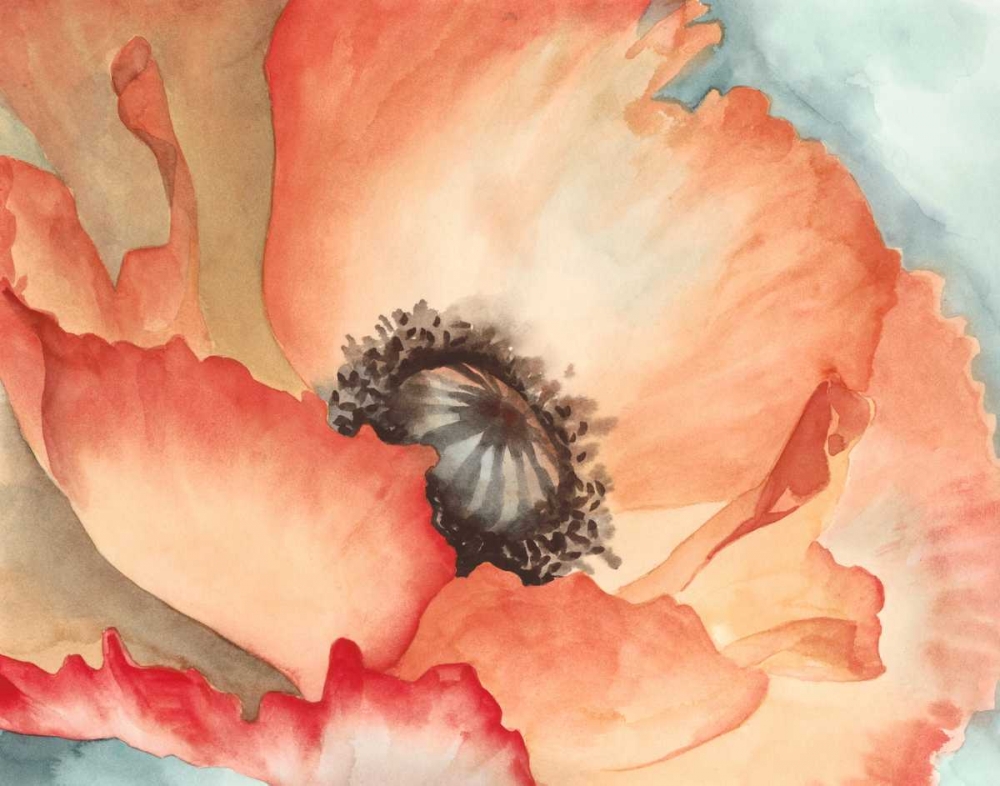 Wall Art Painting id:68450, Name: Watercolor Poppy II, Artist: Meagher, Megan