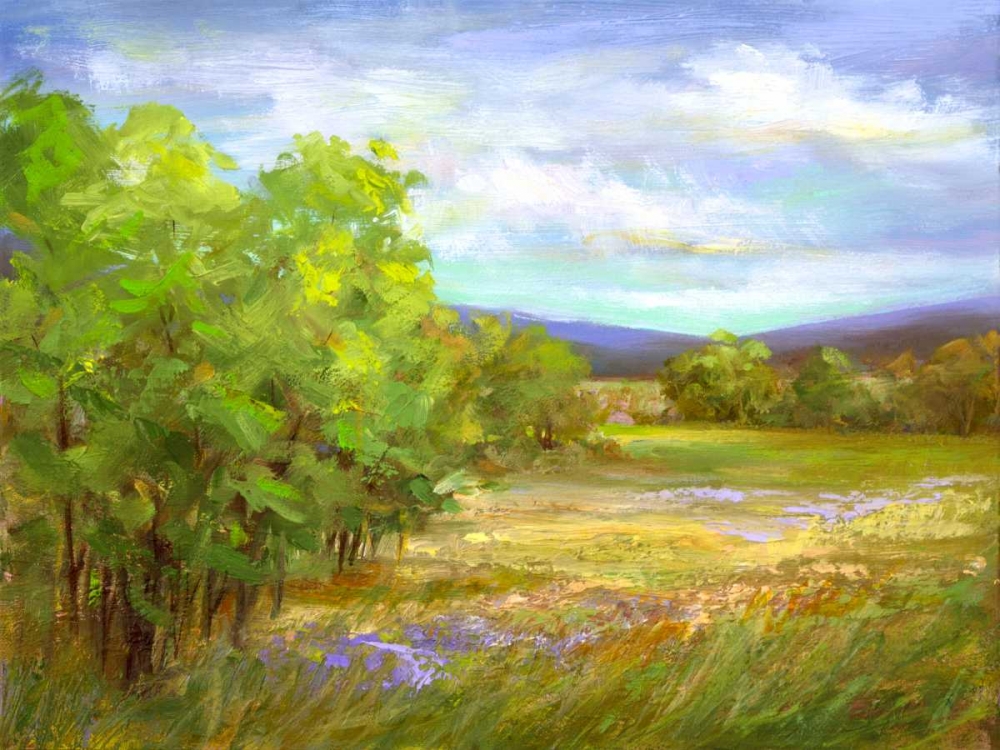 Wall Art Painting id:126506, Name: Meadow Flowers, Artist: Finch, Sheila