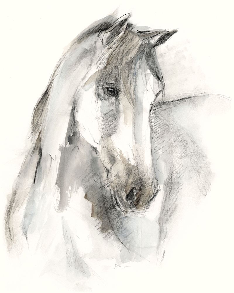 Wall Art Painting id:226600, Name: Watercolor Equine Study I, Artist: Harper, Ethan