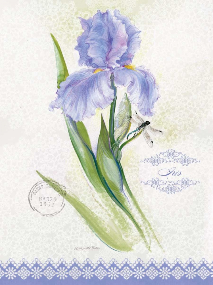 Wall Art Painting id:76748, Name: Flower Study on Lace VII, Artist: Della-Piana, Elissa