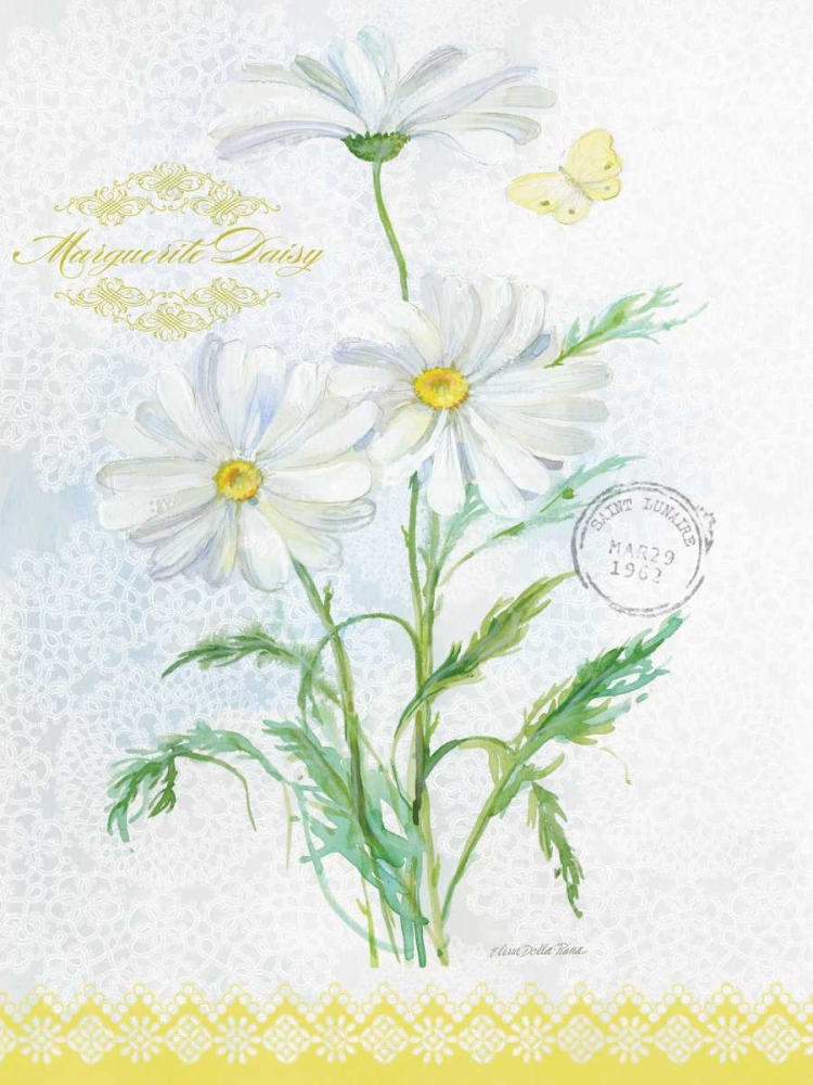 Wall Art Painting id:76751, Name: Flower Study on Lace X, Artist: Della-Piana, Elissa