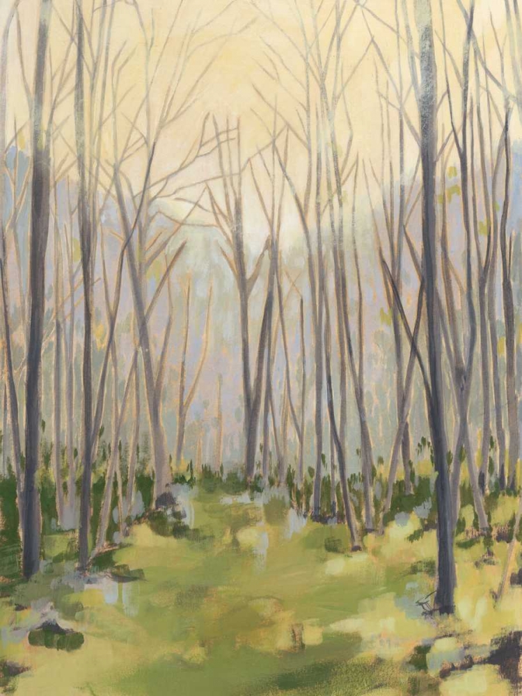 Wall Art Painting id:76795, Name: Delicate Forest II, Artist: Meagher, Megan