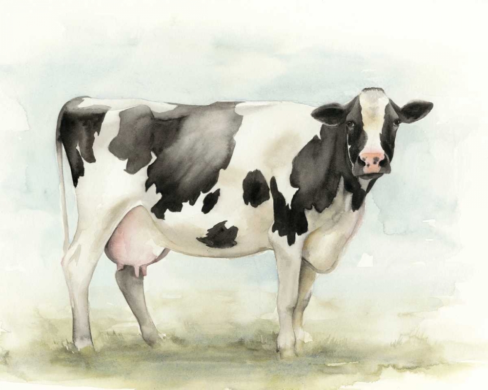 Wall Art Painting id:77361, Name: Watercolor Cow I, Artist: Popp, Grace