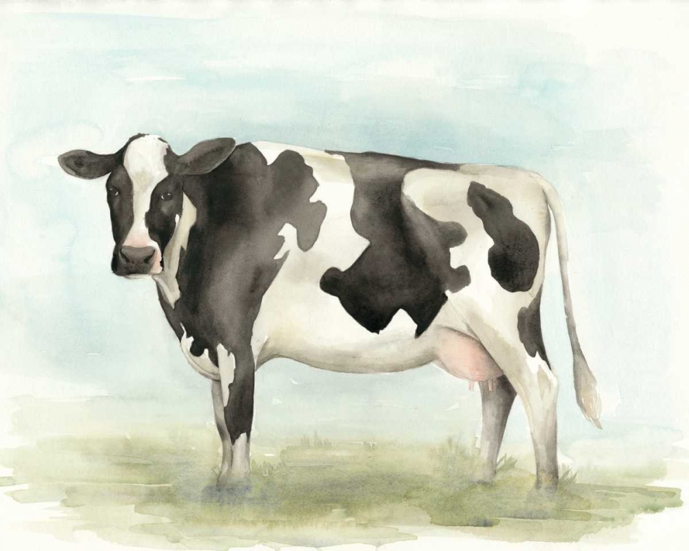Wall Art Painting id:77362, Name: Watercolor Cow II, Artist: Popp, Grace
