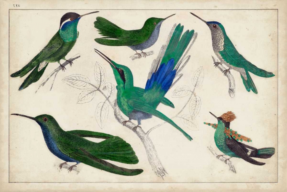 Similar wall art painting: 78491