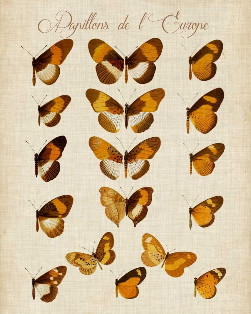 Similar wall art painting: 84048