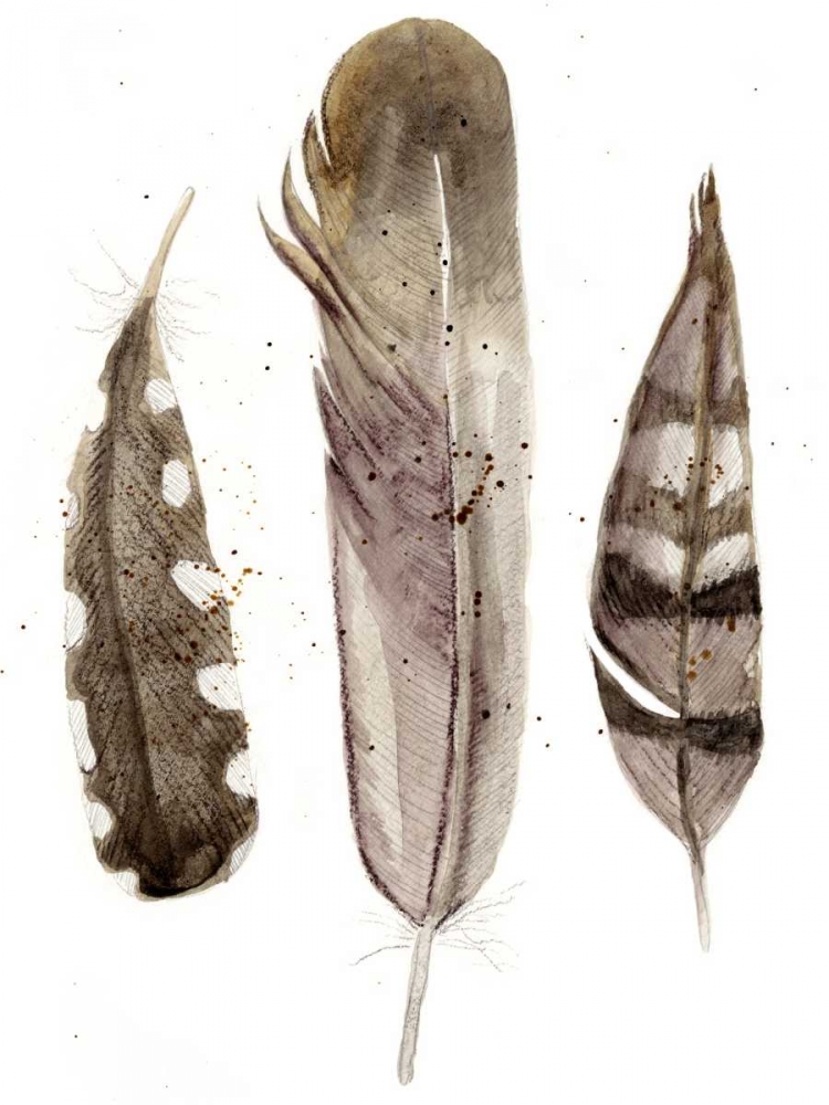 Wall Art Painting id:84085, Name: Earthtone Feathers II, Artist: Ludwig, Alicia