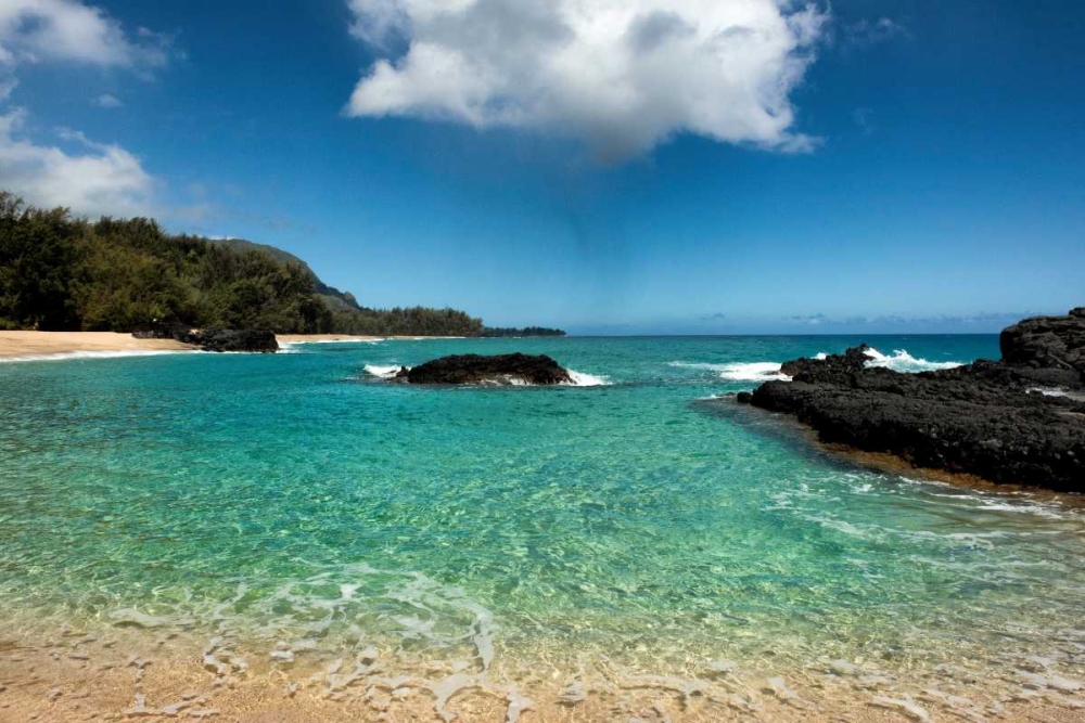 Similar wall art painting: 84294