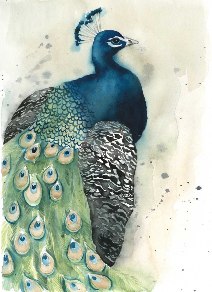 Wall Art Painting id:97916, Name: Watercolor Peacock Portrait I, Artist: Popp, Grace