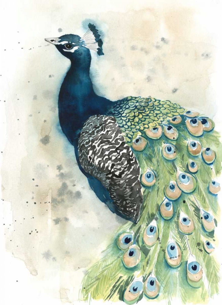 Wall Art Painting id:97917, Name: Watercolor Peacock Portrait II, Artist: Popp, Grace