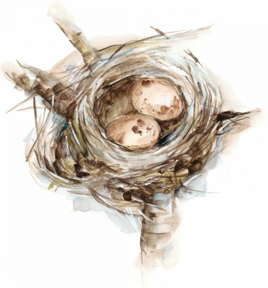 Wall Art Painting id:84517, Name: Bird Nest Study I, Artist: Harper, Ethan