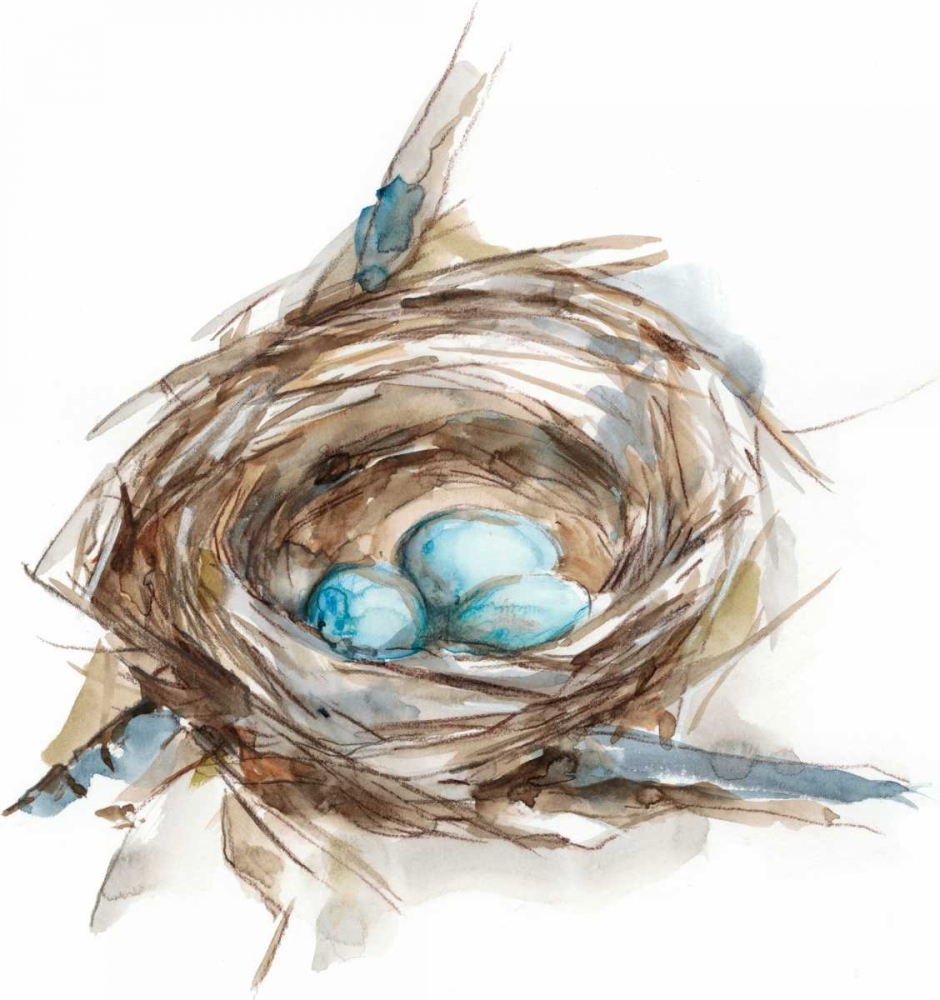 Wall Art Painting id:84518, Name: Bird Nest Study II, Artist: Harper, Ethan
