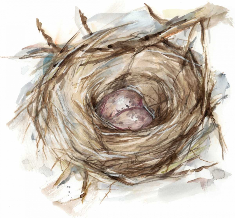 Wall Art Painting id:84520, Name: Bird Nest Study IV, Artist: Harper, Ethan
