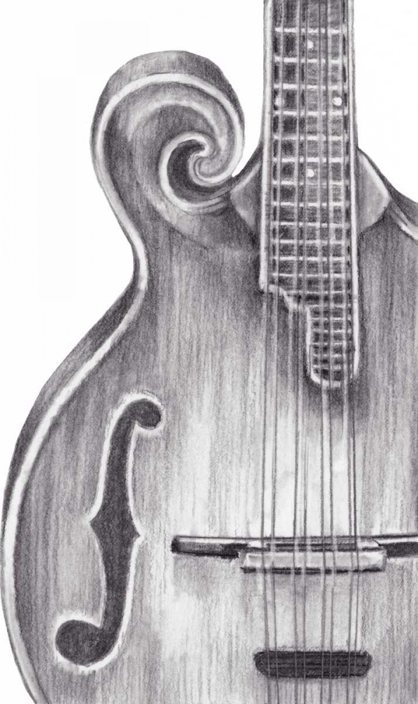 Wall Art Painting id:84545, Name: Stringed Instrument Study II, Artist: Harper, Ethan