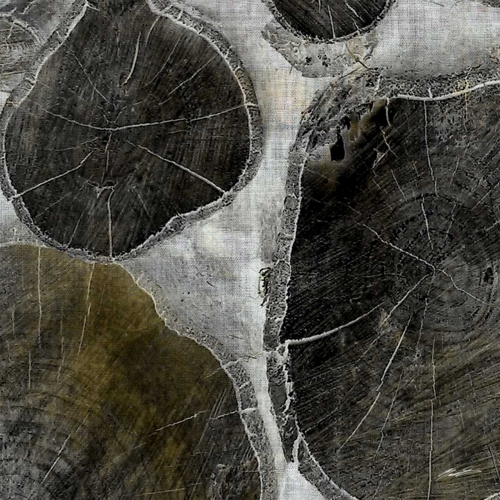 Wall Art Painting id:84675, Name: Logging II, Artist: Butler, John