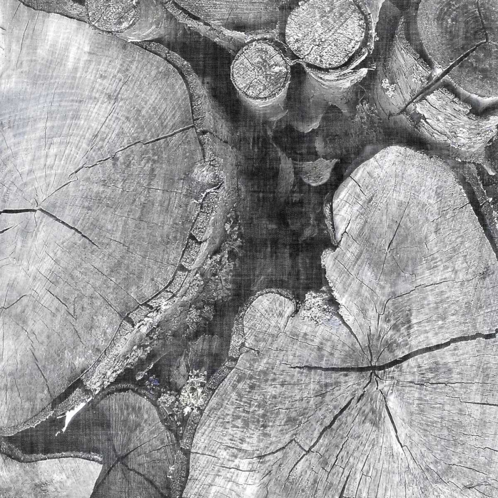 Similar wall art painting: 84680