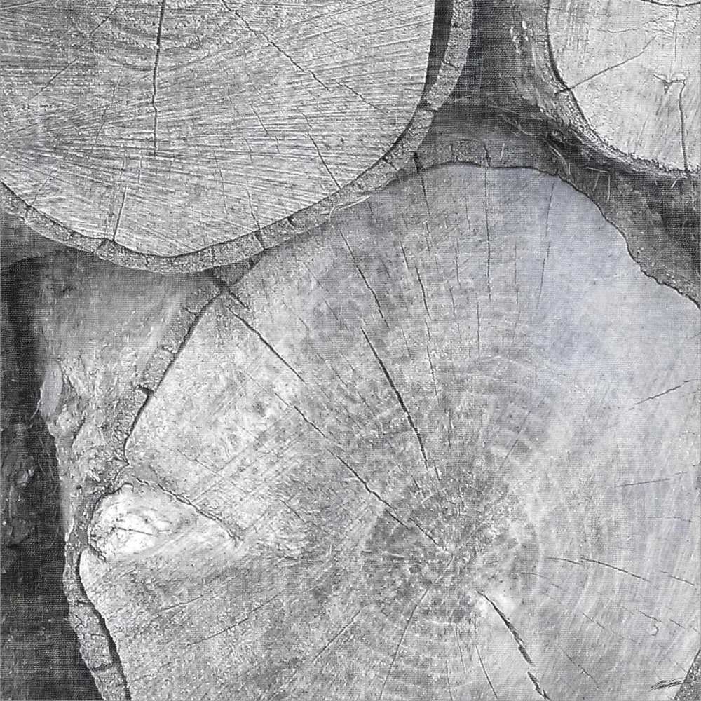 Similar wall art painting: 84684