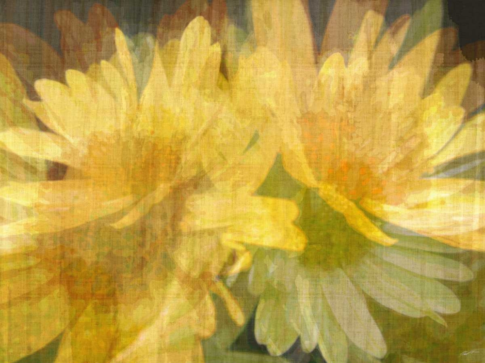 Wall Art Painting id:84690, Name: Daisy Daisy I, Artist: Butler, John