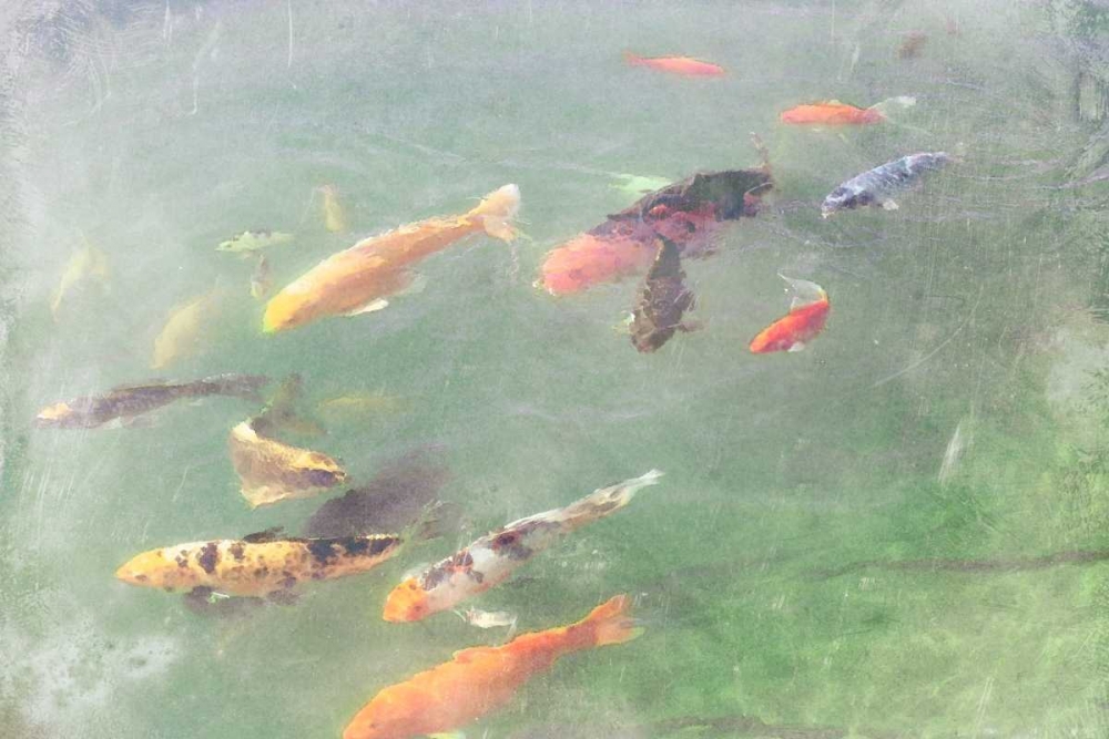 Wall Art Painting id:98128, Name: Koi Reflections I, Artist: Ludwig, Alicia