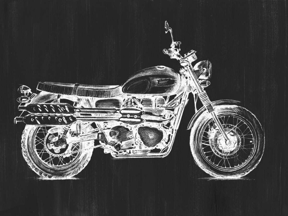 Wall Art Painting id:98437, Name: Motorcycle Graphic II, Artist: Meagher, Megan