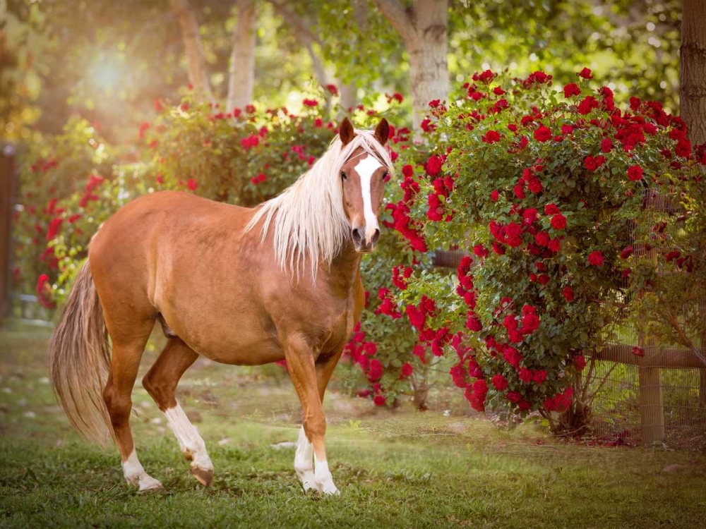 Similar wall art painting: 98684