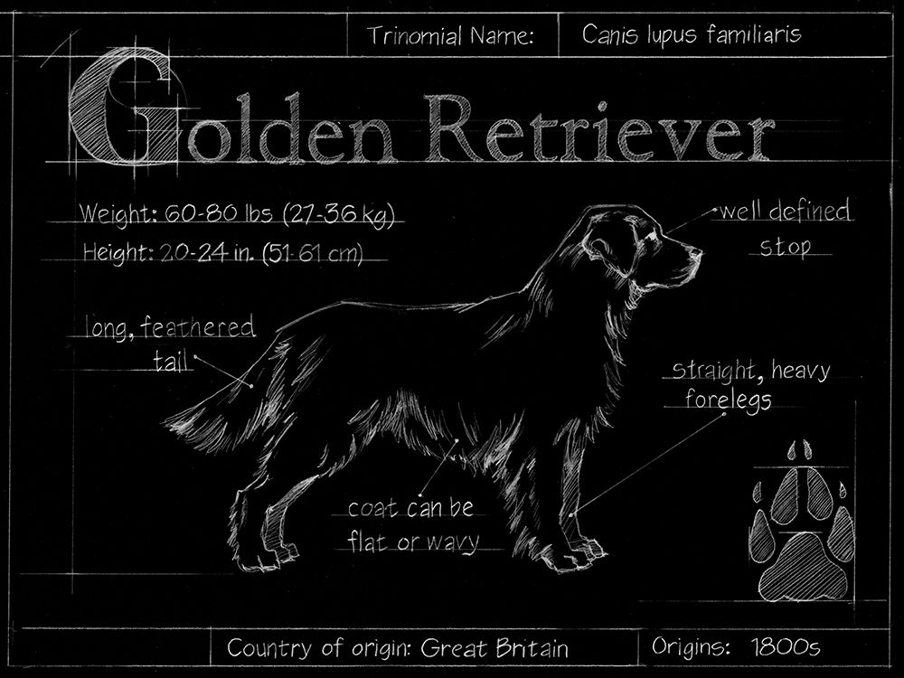 Similar wall art painting: 236487