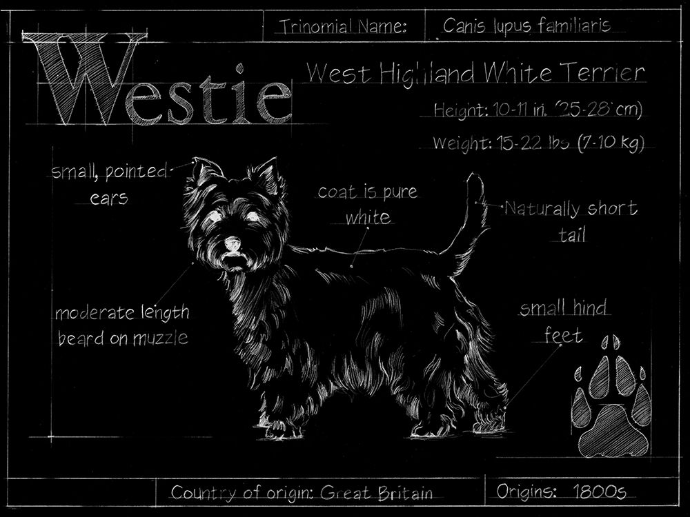 Similar wall art painting: 236492