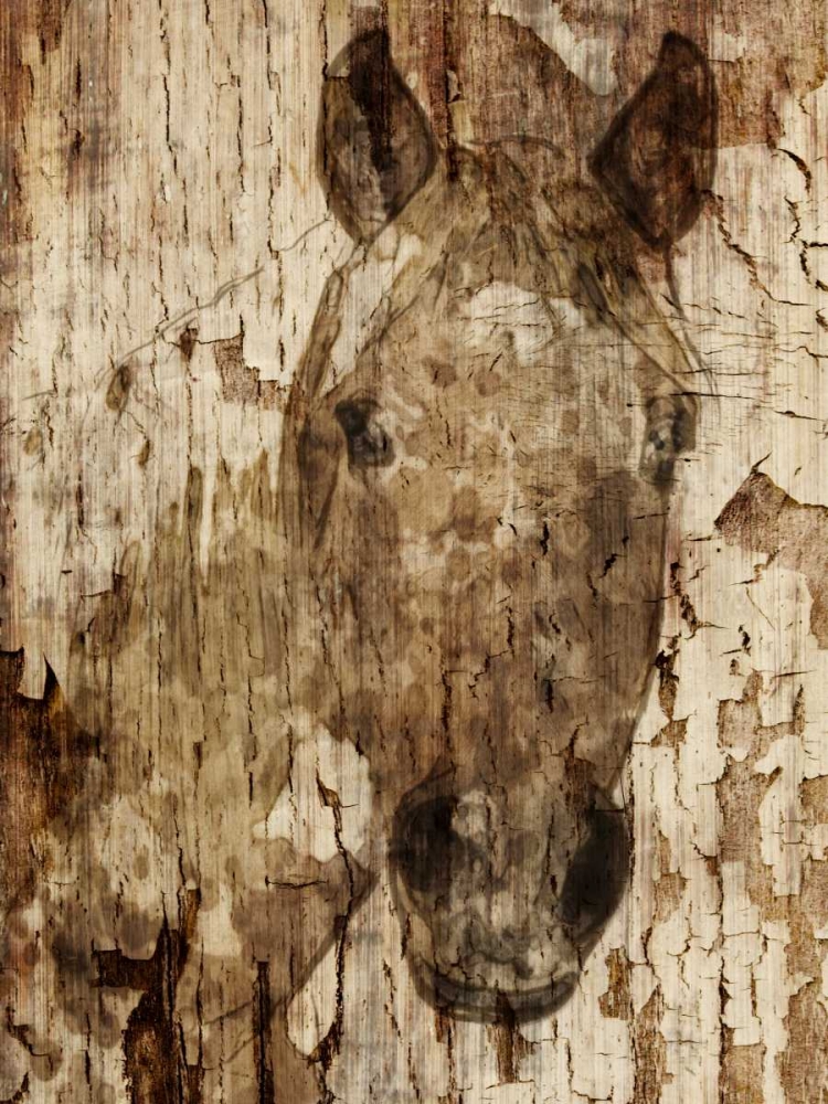 Similar wall art painting: 121604